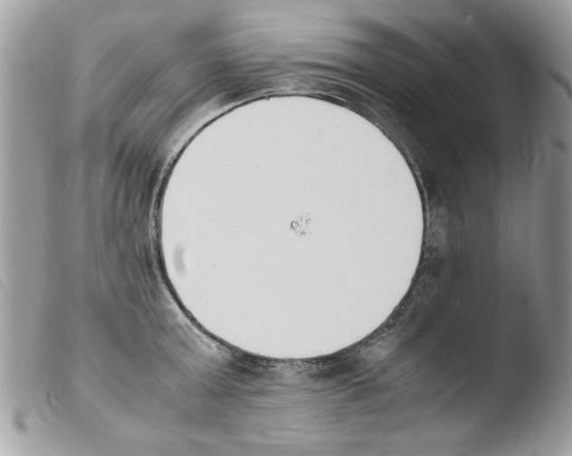 X0000103940803200810171813