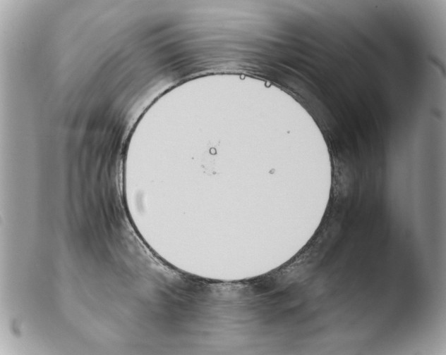 X0000103940804200810171813