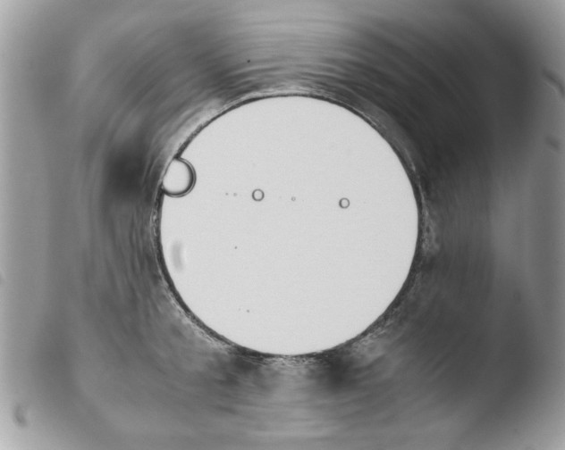 X0000103940805200810171813