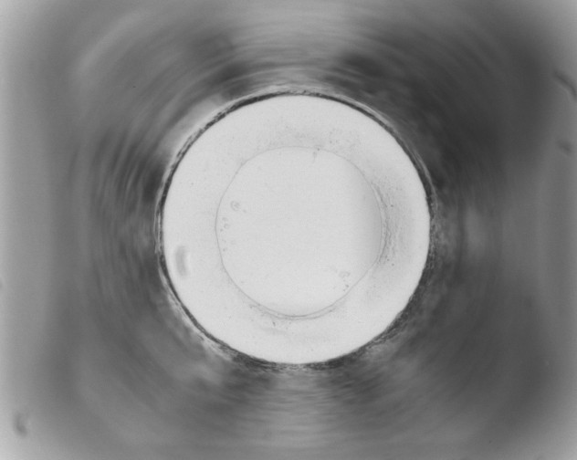 X0000103940807200810171813