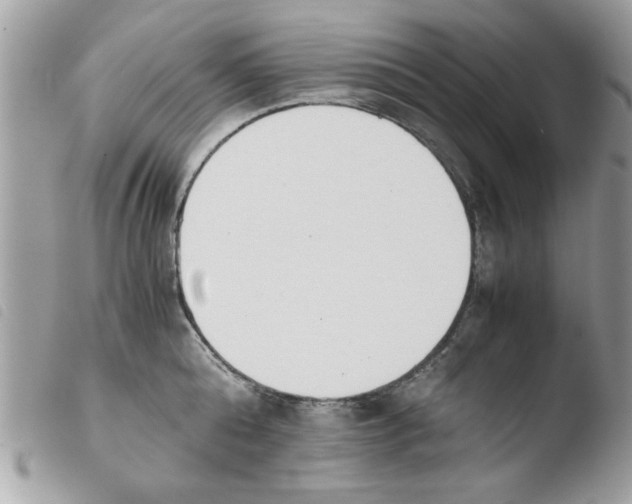 X0000103940808200810171813