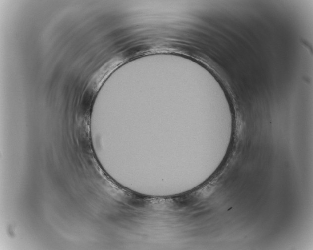 X0000103940809200810171813