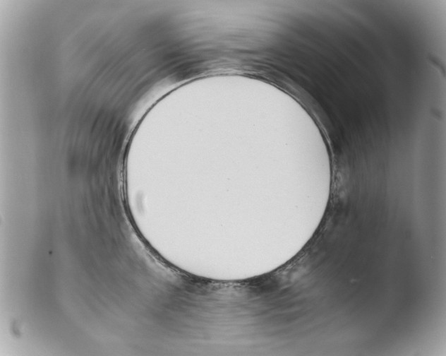 X0000103940811200810171813