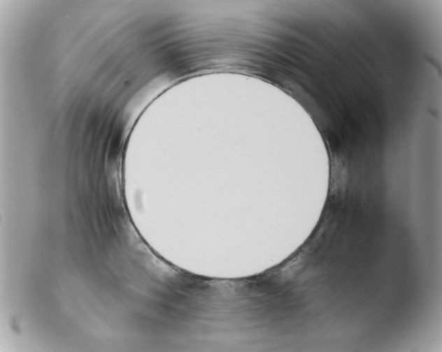 X0000103940812200810171813