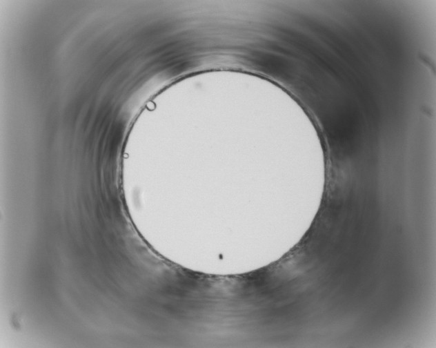 X0000103940815200810171813