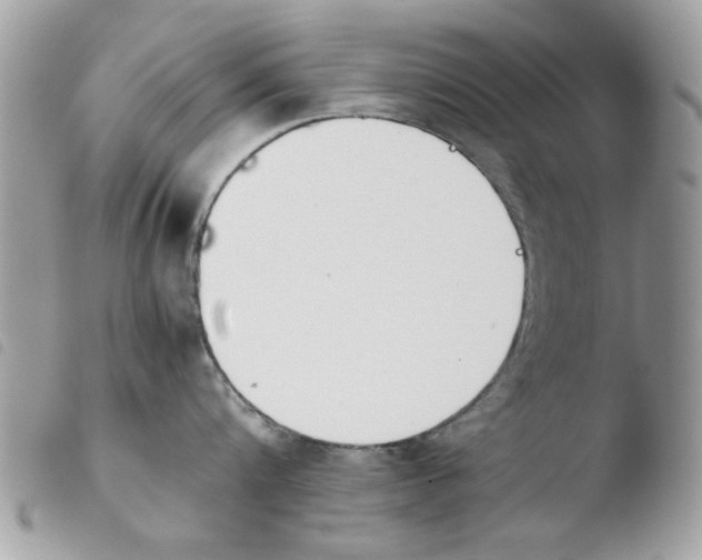 X0000103940816200810171813