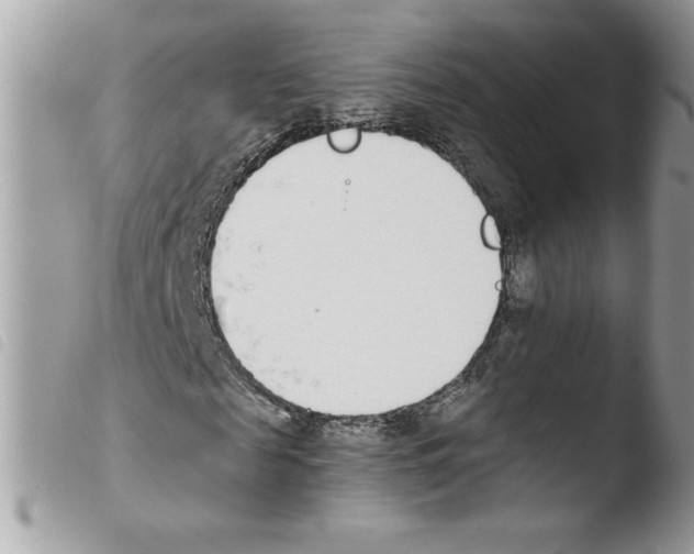 X0000103940817200810171813