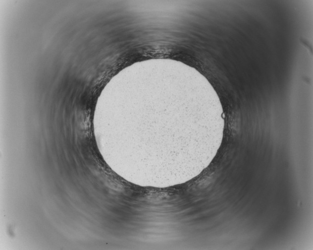 X0000103940818200810171813