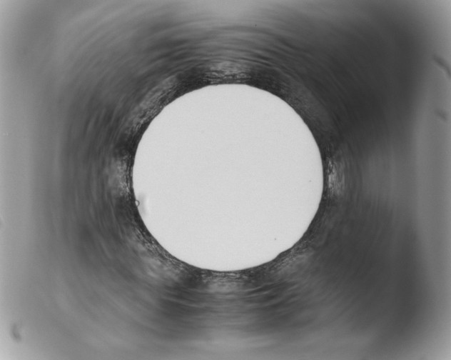 X0000103940819200810171813