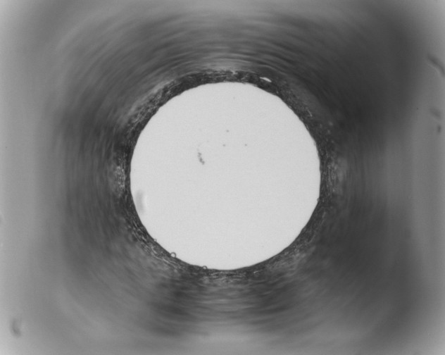 X0000103940821200810171813