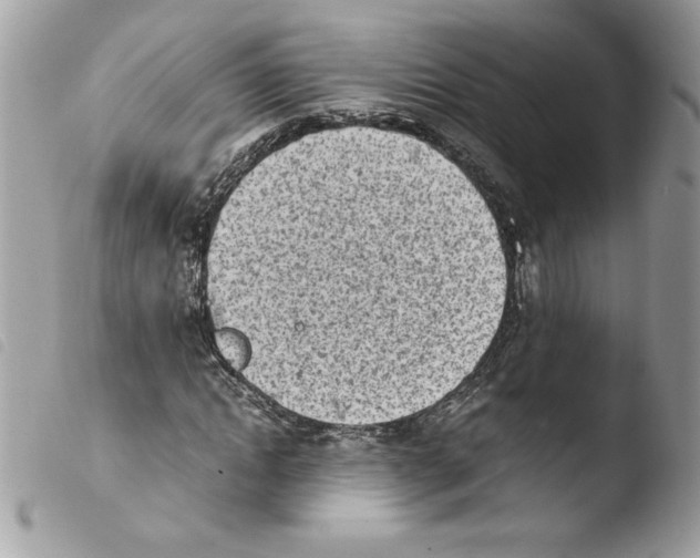 X0000103940822200810171813