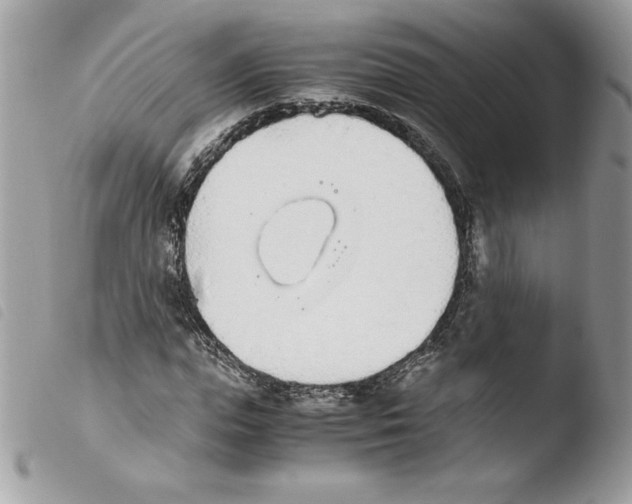 X0000103940823200810171813