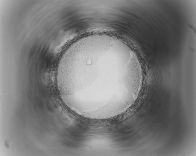 X0000103940824200810171813