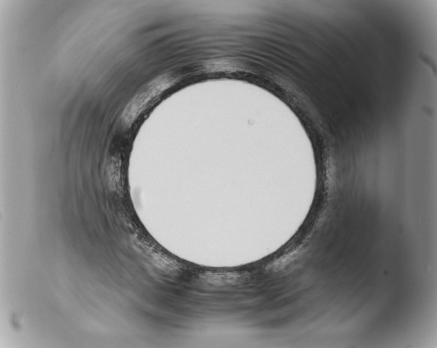 X0000103940825200810171813