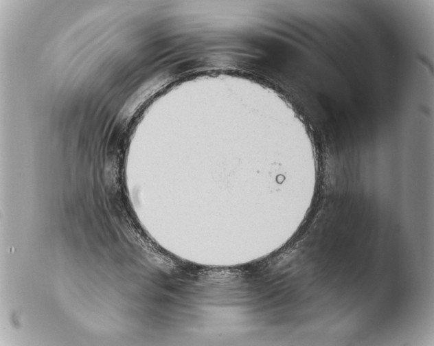 X0000103940826200810171813