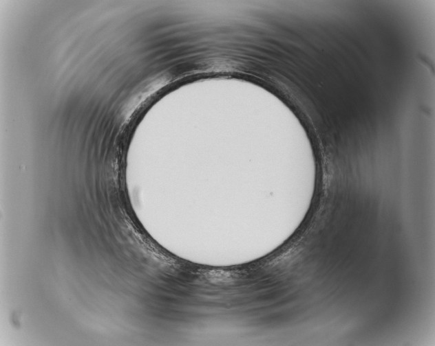 X0000103940827200810171813