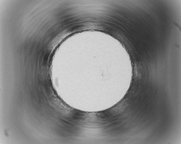 X0000103940828200810171813