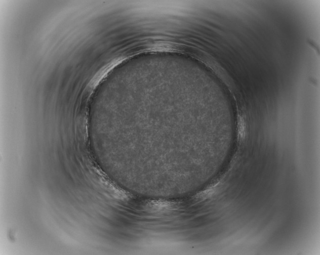 X0000103940829200810171813