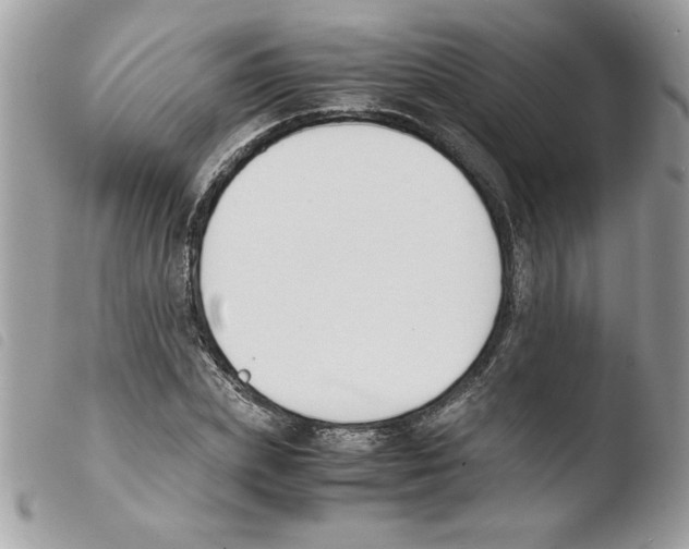 X0000103940831200810171813