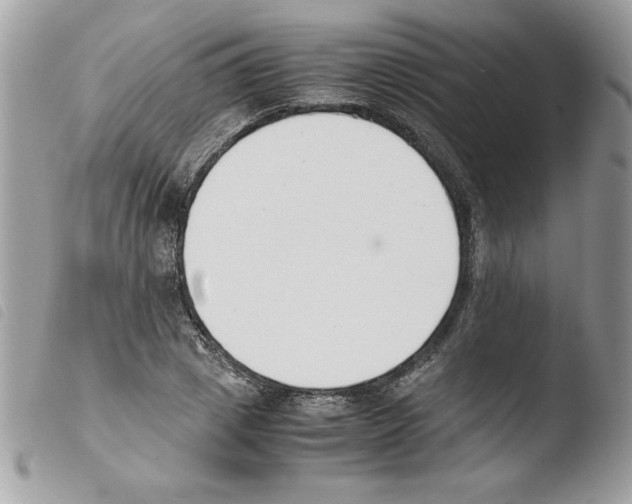 X0000103940833200810171813