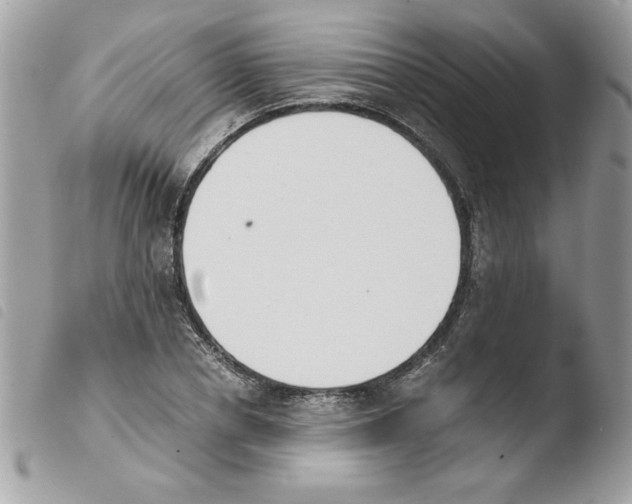 X0000103940834200810171813