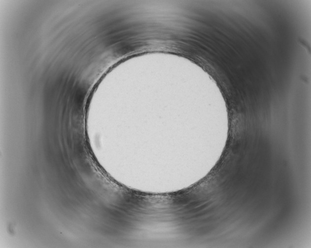 X0000103940836200810171813