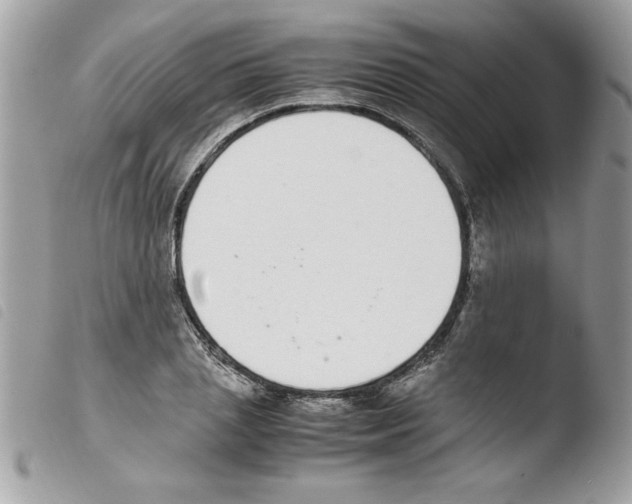 X0000103940837200810171813