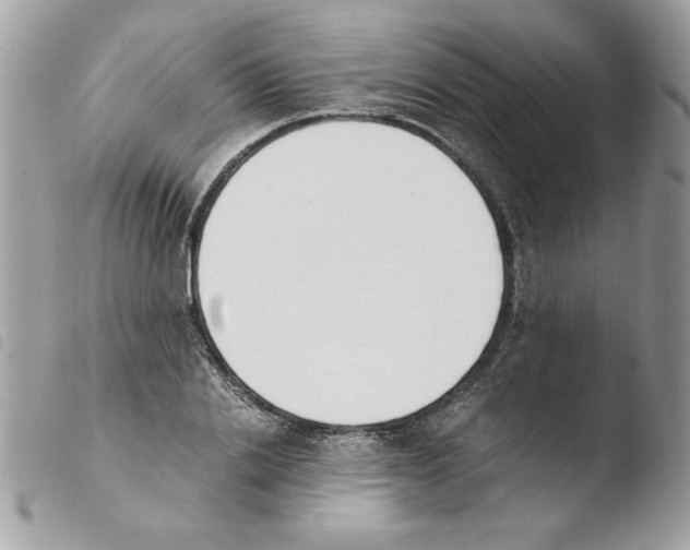 X0000103940838200810171813