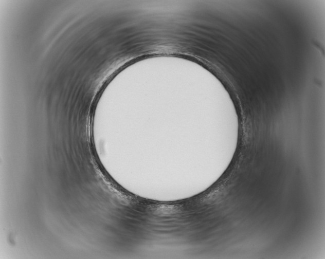 X0000103940839200810171813