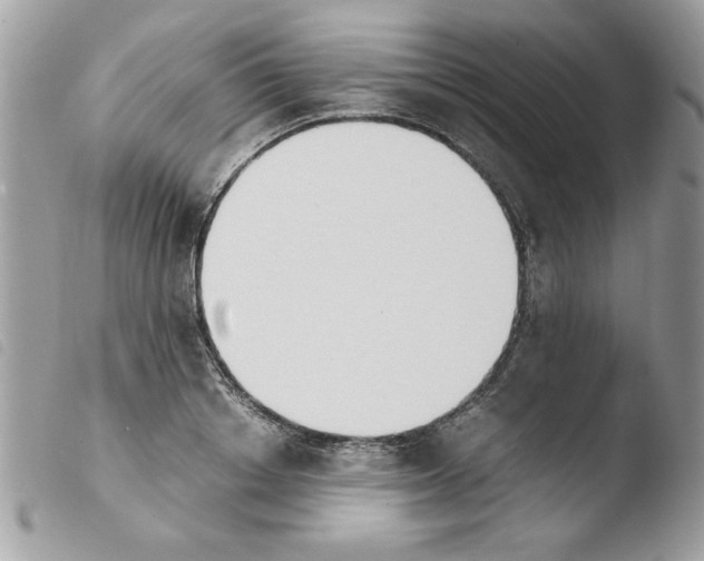 X0000103940842200810171813