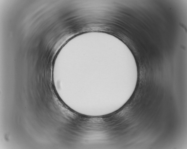 X0000103940844200810171813