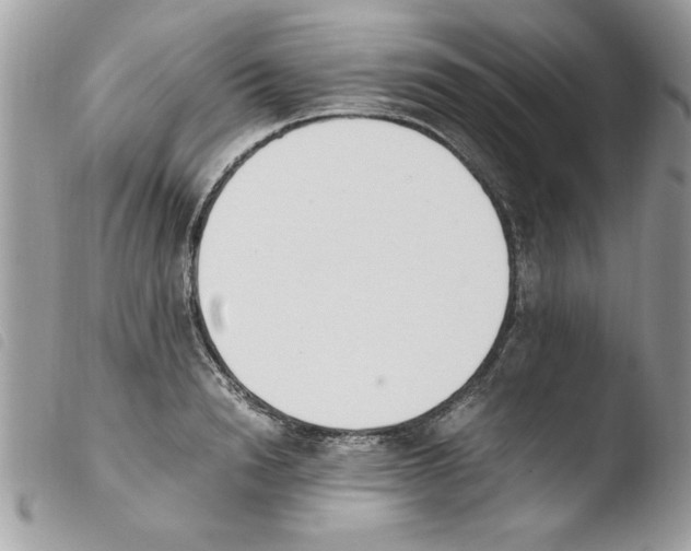 X0000103940846200810171813