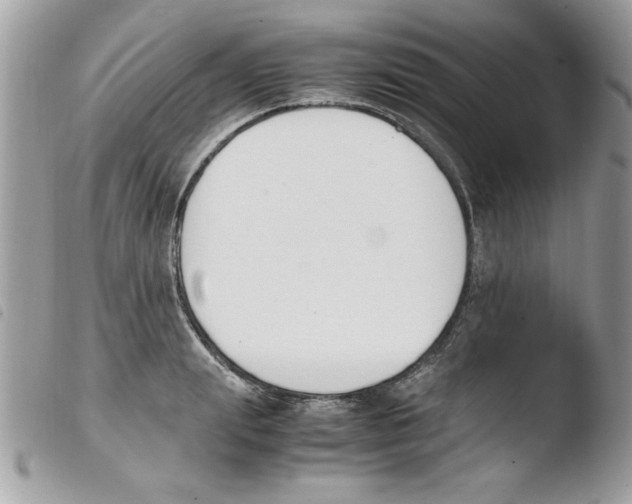 X0000103940847200810171813