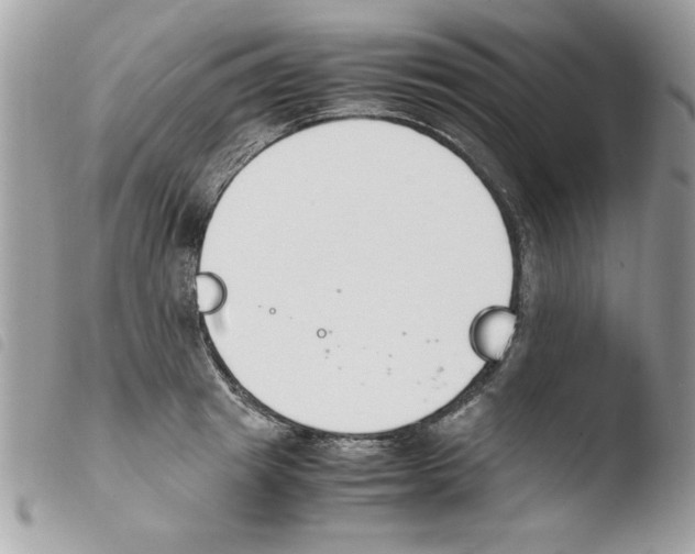 X0000103940849200810171813