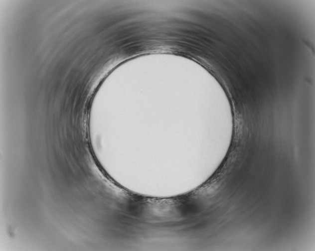 X0000103940851200810171813