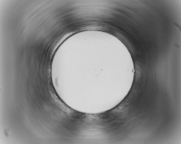 X0000103940852200810171813