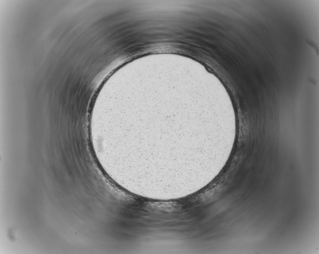 X0000103940853200810171813