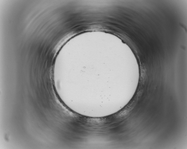 X0000103940855200810171813