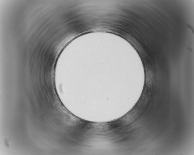 X0000103940856200810171813