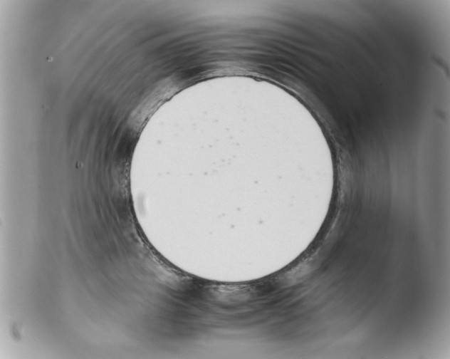 X0000103940857200810171813