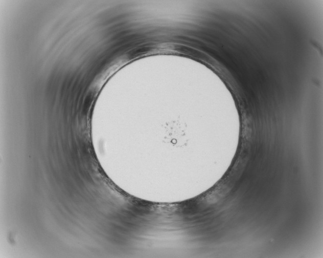 X0000103940858200810171813