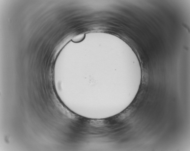 X0000103940859200810171813