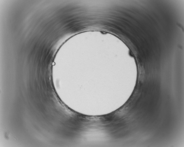 X0000103940862200810171813