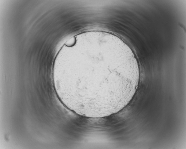 X0000103940863200810171813