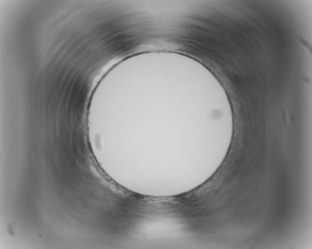 X0000103940864200810171813