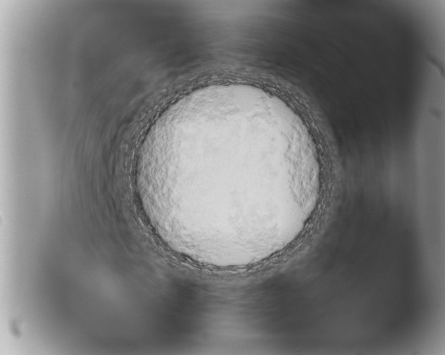 X0000103940865200810171813