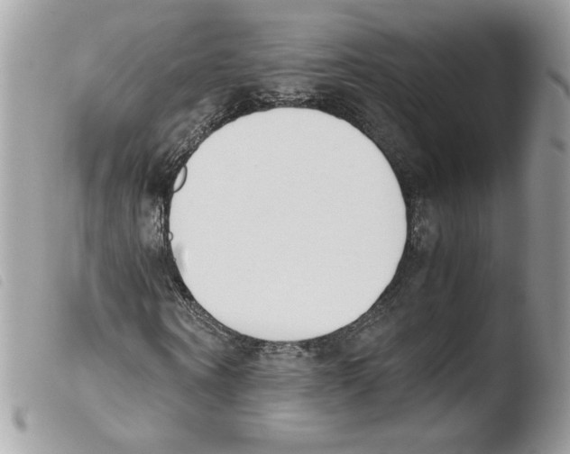 X0000103940866200810171813