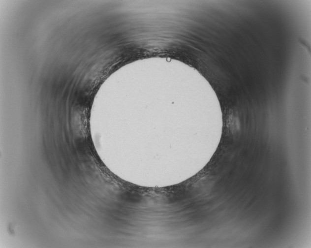 X0000103940868200810171813