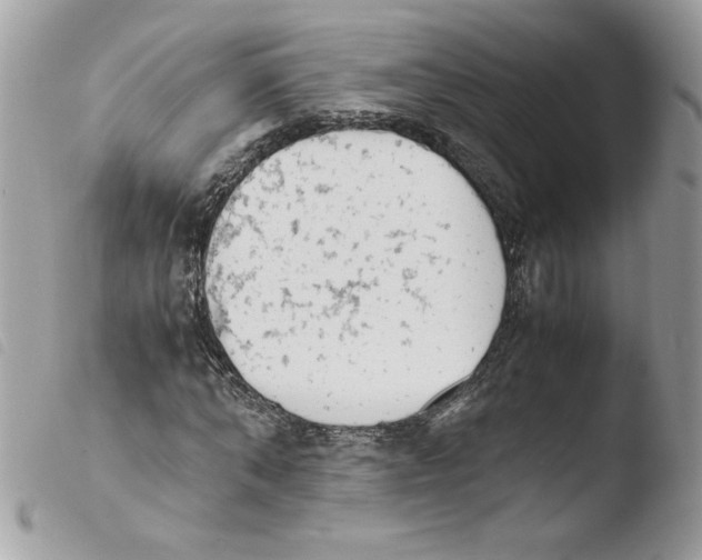 X0000103940870200810171813