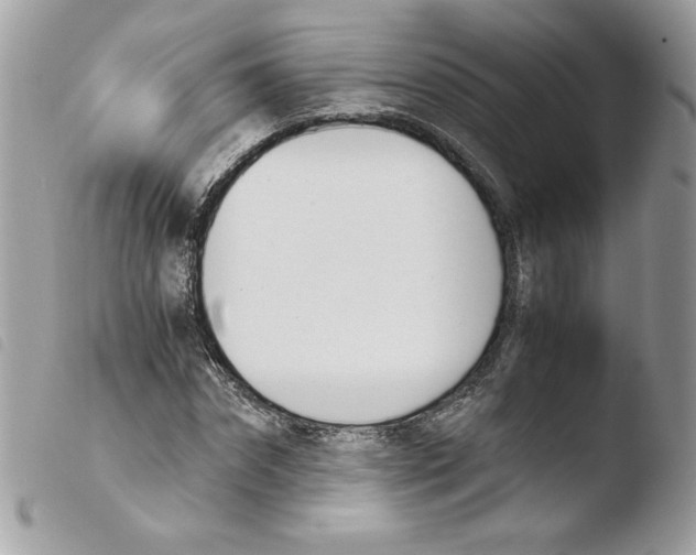 X0000103940874200810171812